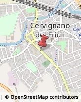 Vivai Piante e Fiori Cervignano del Friuli,33052Udine