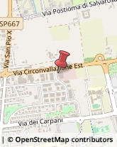 Automobili - Elaborazioni Castelfranco Veneto,31033Treviso