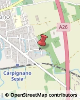 Aziende Agricole Carpignano Sesia,28064Novara