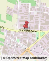 Assicurazioni Villafranca di Verona,37069Verona