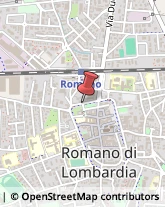 Caldaie a Gas Romano di Lombardia,24058Bergamo