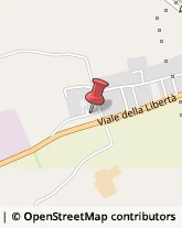 Autofficine e Centri Assistenza,46010Mantova