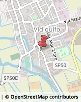 Agrumi Vidigulfo,27018Pavia