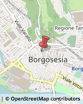 Società Immobiliari Borgosesia,13011Vercelli