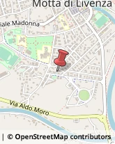 Viale XXV Aprile, 56,31045Motta di Livenza