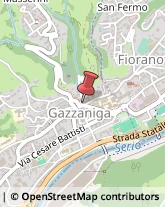 Ottica, Occhiali e Lenti a Contatto - Dettaglio Gazzaniga,24025Bergamo