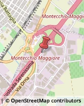 Autofficine e Centri Assistenza Brendola,36040Vicenza