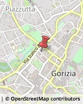 Ortofrutticoltura Gorizia,34170Gorizia