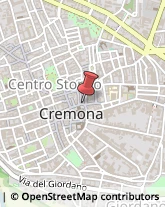 Piante e Fiori - Dettaglio Cremona,26100Cremona