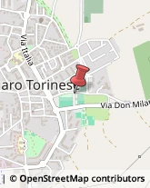 Agricoltura - Attrezzi e Forniture Borgaro Torinese,10071Torino