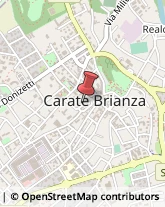 Maniglie Carate Brianza,20841Monza e Brianza