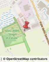 Cuscinetti Volventi - Commercio Vicenza,36100Vicenza