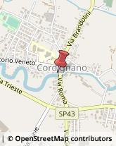 ,31016Treviso