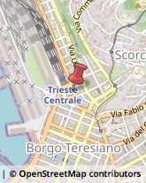 Trasporto Pubblico,34132Trieste