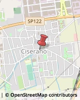 Infermieri ed Assistenza Domiciliare Ciserano,24040Bergamo