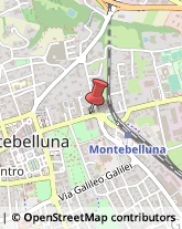 Laboratori Odontotecnici Montebelluna,31044Treviso