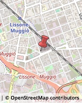 Massaggi Lissone,20851Monza e Brianza