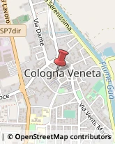 Pratiche Automobilistiche Cologna Veneta,37044Verona