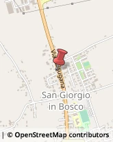Cartolerie San Giorgio in Bosco,35010Padova