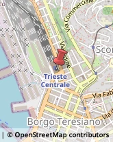 Trasporto Pubblico,34135Trieste