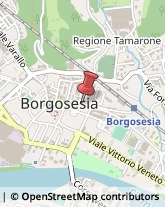 Pelliccerie Borgosesia,13011Vercelli