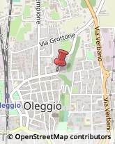 Pollame, Conigli e Selvaggina - Dettaglio Oleggio,28047Novara