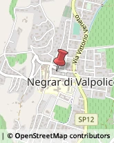 Articoli per Ortopedia Negrar,37024Verona