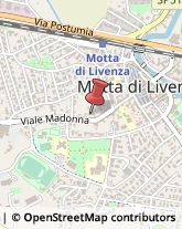 Appartamenti e Residence Motta di Livenza,31045Treviso