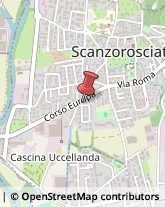 Veterinaria - Ambulatori e Laboratori Scanzorosciate,24020Bergamo