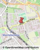 Farmacie Montebelluna,31044Treviso