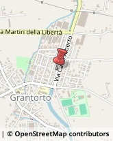 Estetiste Grantorto,35010Padova