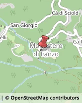 Piante e Fiori - Dettaglio Monastero di Lanzo,10070Torino