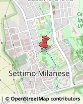 Rosticcerie e Salumerie Settimo Milanese,20019Milano