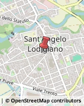 Tour Operator e Agenzia di Viaggi Sant'Angelo Lodigiano,26866Lodi