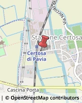 ,27010Pavia