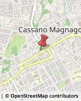 Piante e Fiori Artificiali - Dettaglio Cassano Magnago,21012Varese