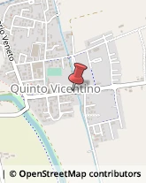 Odontoiatri e Dentisti - Medici Chirurghi Quinto Vicentino,36050Vicenza