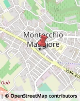 Cosmetici e Prodotti di Bellezza Montecchio Maggiore,36075Vicenza