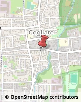 Macellerie Cogliate,20815Monza e Brianza