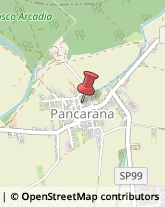 Panetterie Pancarana,27050Pavia