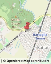 Piante e Fiori - Dettaglio Battaglia Terme,35041Padova