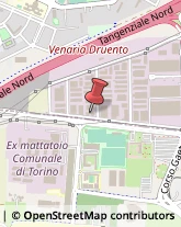 Consulenza di Direzione ed Organizzazione Aziendale Venaria Reale,10078Torino