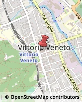 Ortopedia e Traumatologia - Medici Specialisti Vittorio Veneto,31029Treviso