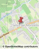 Scuole Materne Private Volpago del Montello,31040Treviso