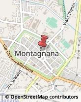 Notai Montagnana,35044Padova