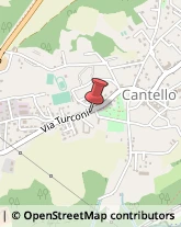 Artigianato Tipico Cantello,21050Varese