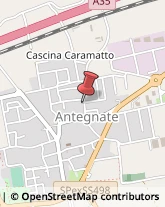 Gelaterie Antegnate,24051Bergamo