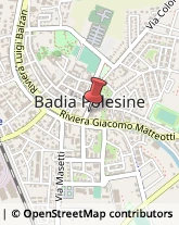 Bilance, Bascule e Bilici Badia Polesine,45021Rovigo