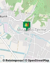 Banche e Istituti di Credito Miradolo Terme,27010Pavia