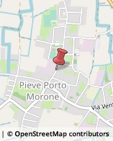 Piante e Fiori - Dettaglio Pieve Porto Morone,27017Pavia